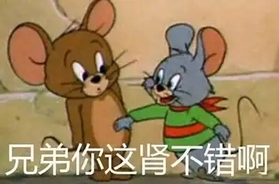  原创安卓平板新生态,华为matepadpro半个月初体验