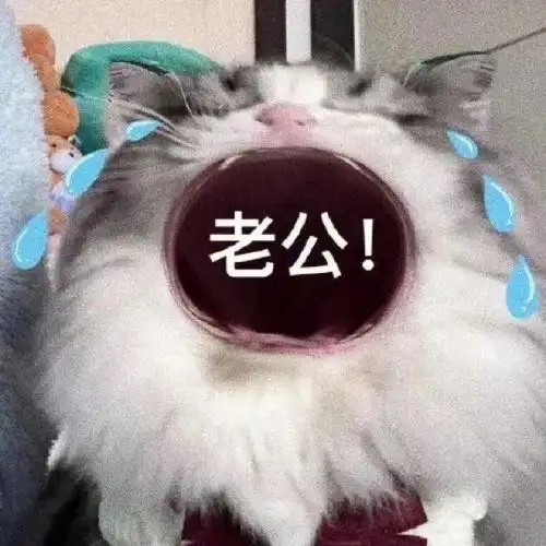  笑话十条我问爸爸,你和妈妈是怎样恋爱的