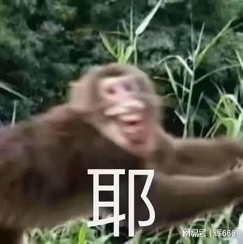  新区开启,闯荡梦幻西游,赢取经验,享受惊喜点卡斗战胜佛网易订阅