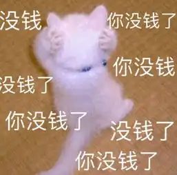 没钱了表情包