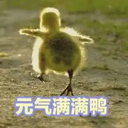 憨鸠鸠等征收表情包
