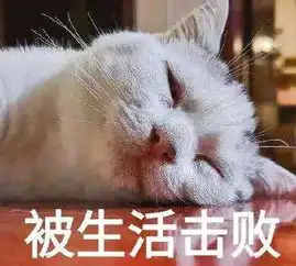  周村半年房价对比数据出炉看看你家小区涨了跌了