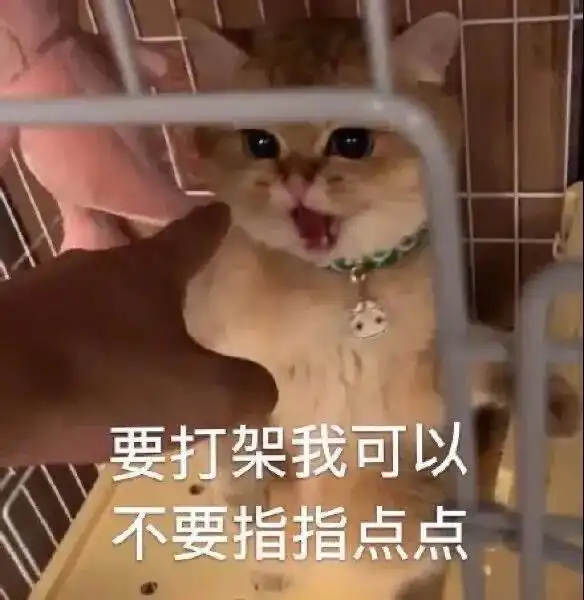  可爱的表情包我想做你的小宝贝