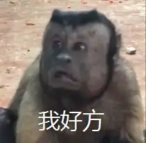  猴子长了一张国字脸,化身行走的表情包网友这是要进化了吧