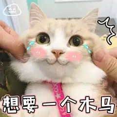  网络常见表情包之喵