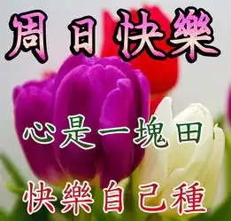 春节祝福语表情包早上好