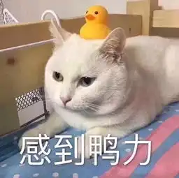  一直很多火的