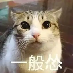 猫咪幽怨的眼神表情包