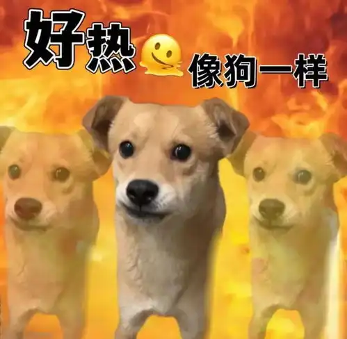  实用天热表情包不和40度以下城市的人交朋友,不熟