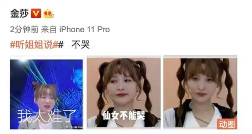  组图金莎晒网友做的哭泣表情包坚强称不哭为自己加油打气
