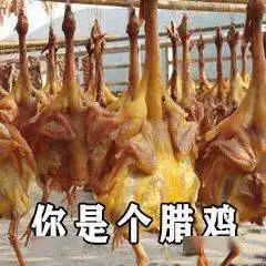  你想要的沙雕表情包,我都能安排