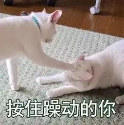  中秋节放假通知来了你想了解的都在这里