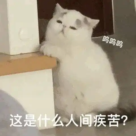 2021申请季,准备多国多地混申的同学了解一下