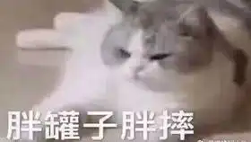  tcsvsuti训练赛20181218