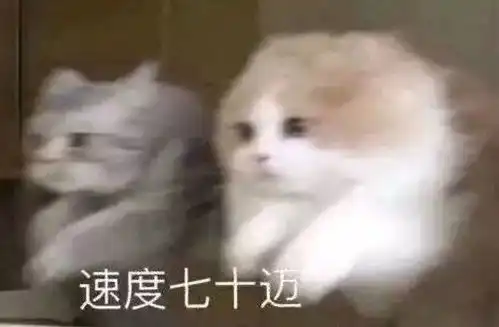  现在的车都能上天了