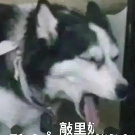  你喜欢的表情包都在这