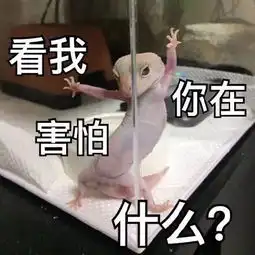  当代精致女孩的日常,可以说是非常形象了
