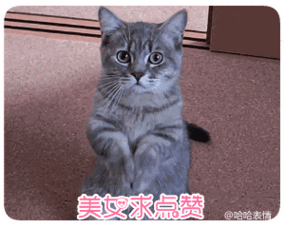  求点赞表情包你不会不点赞就走吧
