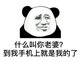  表情包在我手机里就是我老婆