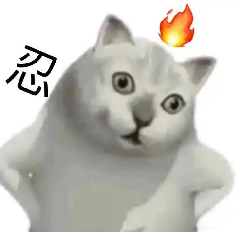huh猫表情包动图起床了