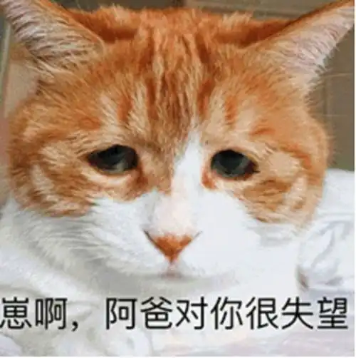  比惨大会开幕,宣传记者艺人请就位