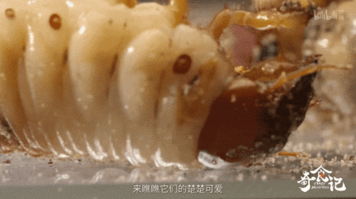  看完这部美食片,我瘦了10斤