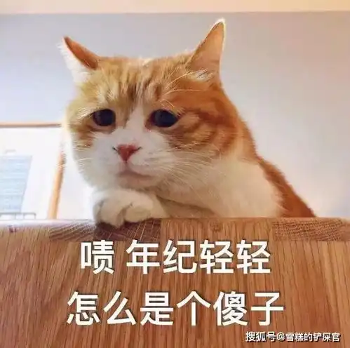  盘点网友养猫后出现的奇怪癖好网友喜欢观察猫屎算吗