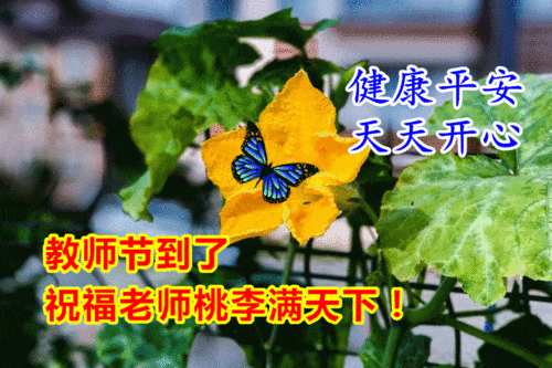  教师节温馨祝福所有老师们动态表情图片,2021最新有创意的教师节祝福语