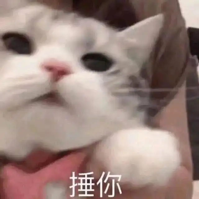  沙雕可爱表情包