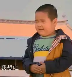  我叫谢飞机,我很危险...前方表情包高能预警,收下吧