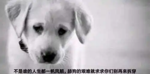  绿地集团出轨门不要做那张安全牌