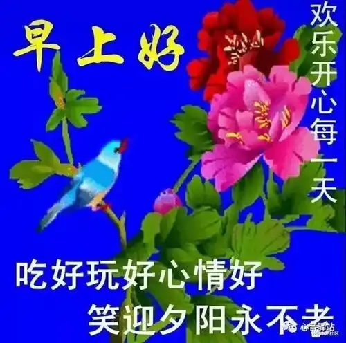  8月21日最新漂亮真人美女早上好动画表情包最美早安问候祝福美女动态表情图片