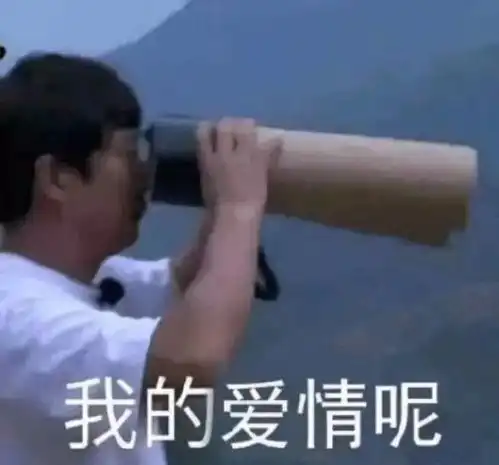 沙雕表情包配文一夜新娘