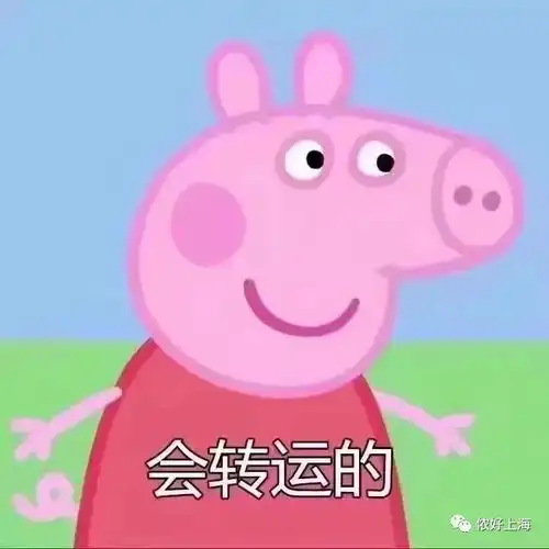  春节必备超可爱的猪猪年祝福语来啦太有才了哈哈哈