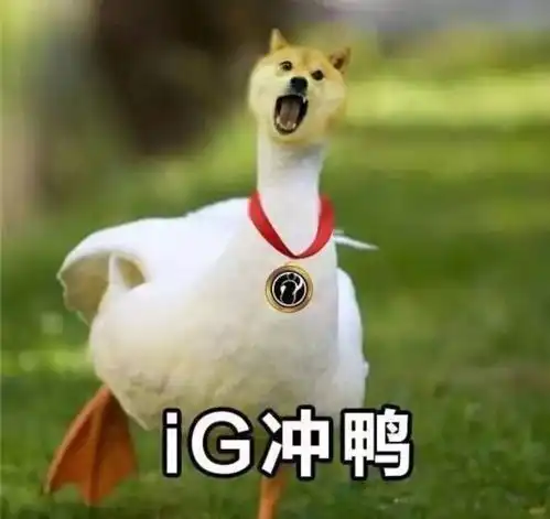  ig夺冠让年轻人沸腾,冷静过后,我们需要思考到底什么是电竞什么是游戏
