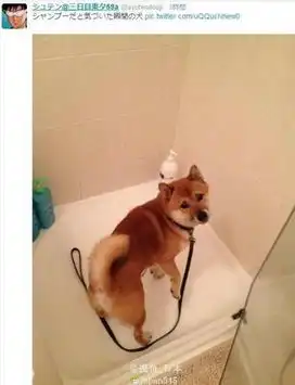  世界上最大的u盘