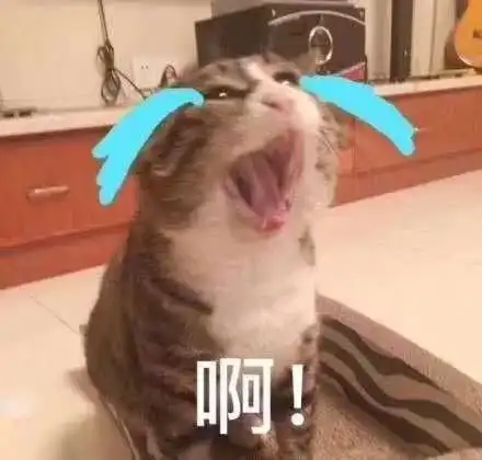  那些年,在音乐旋律中闪闪发光的故事