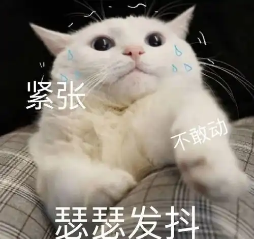  表情包你们玩吧,我没钱了