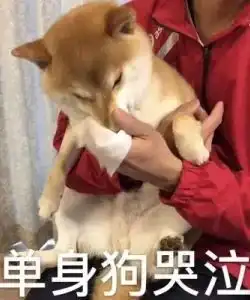  你收到七夕牡丹了吗原来七夕节不是所有花都受欢迎
