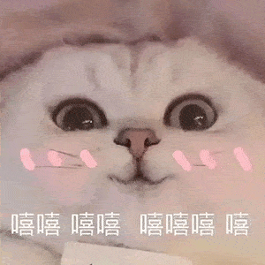想你表情包gif撩人猫咪
