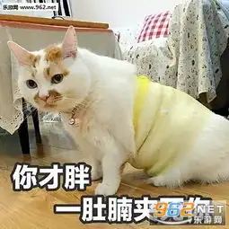 睡觉表情包高清一晚