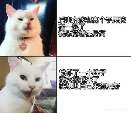  男生的容貌焦虑都在表情包里
