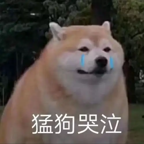  hhh