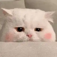  春节放假想带着猫一起回老家,有什么可行的方法
