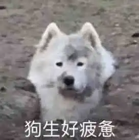  进厂打工你知道真实的厂里有多残酷吗