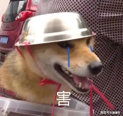  沙雕表情包图片难道我错了吗