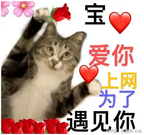  搞笑表情包爱你上网为了遇到你