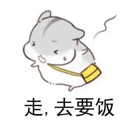  仓鼠真的适合当宠物吗