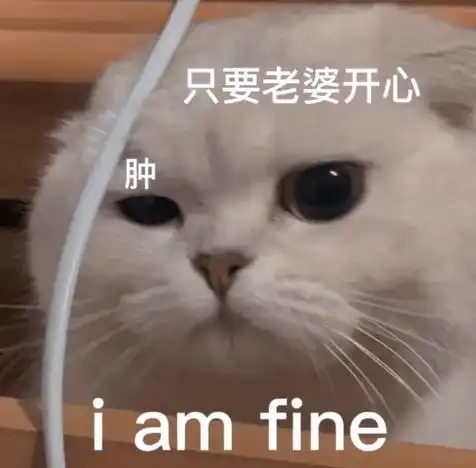  抖音表情包动图精选