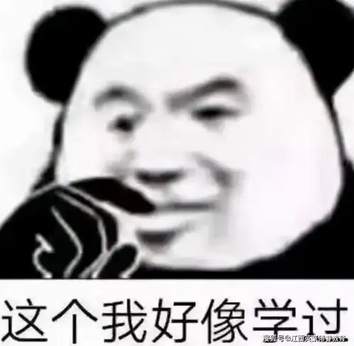 书背不完了做到这几点让你冲刺阶段背书轻松又高效